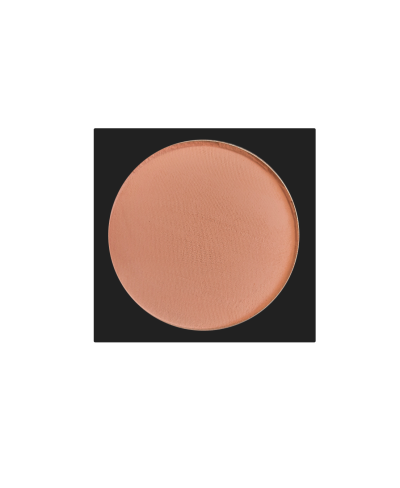 رژگونه لاکچری کویین 411