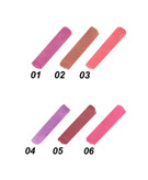 رژ لب مایع (تینت لب ) شال کوین شماره 03